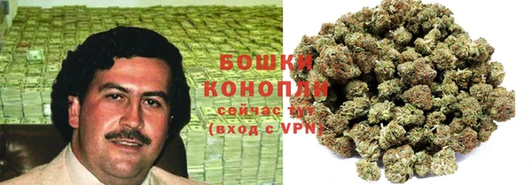 гидра Белоозёрский