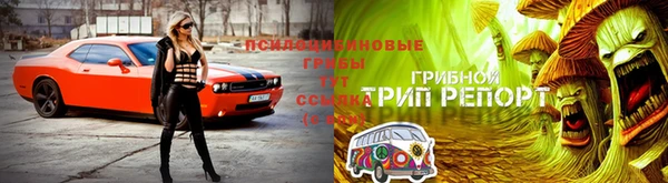 прущая мука Белокуриха