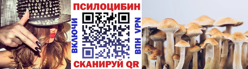 blacksprut ссылка Бологое Галлюциногенные грибы GOLDEN TEACHER